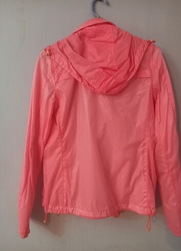 36 Beden pembe Renk Lacoste