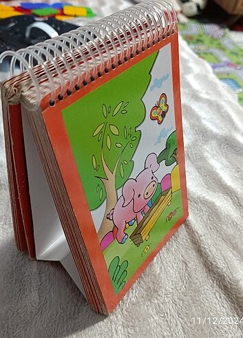  Beden Renk Eğitici kitap