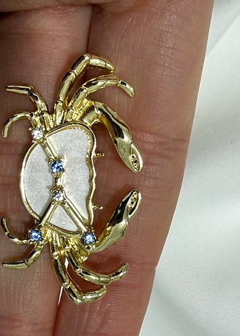 Altın Renk Yengeç Burcu Broş - Görsel 5