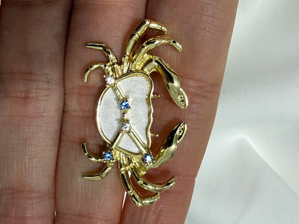 Altın Renk Yengeç Burcu Broş - Görsel 4