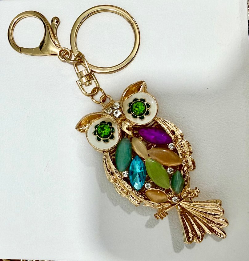 Rengarenk Taşlı Baykuş Çanta Charmı ve Anahtarlık - Görsel 2