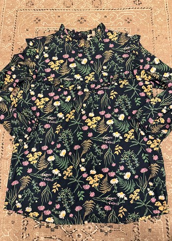 Barbour 34