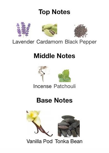 Invictus Victory Elixir 5 ML - Görsel 2