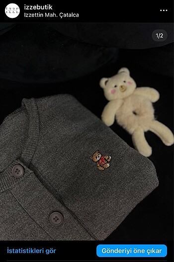 Bear Hırka