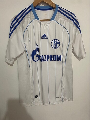 Schalke 04 2010-11 Sezon Forma