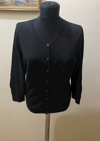 Ann Taylor l