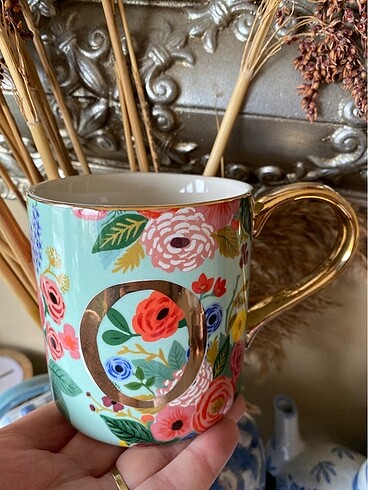 Anthropologie kupa