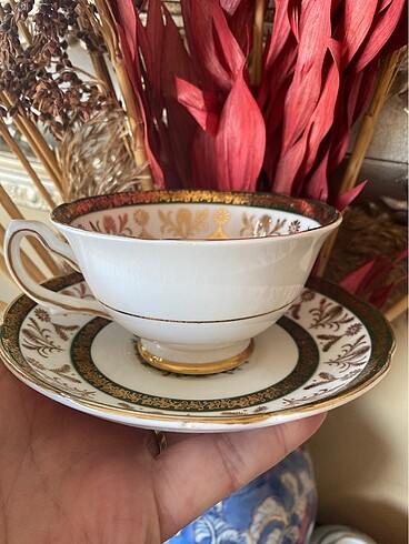 Royal grafton fincan