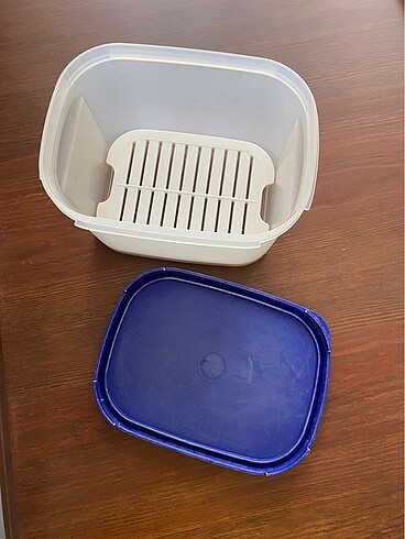 Beden lacivert Renk Tupperware