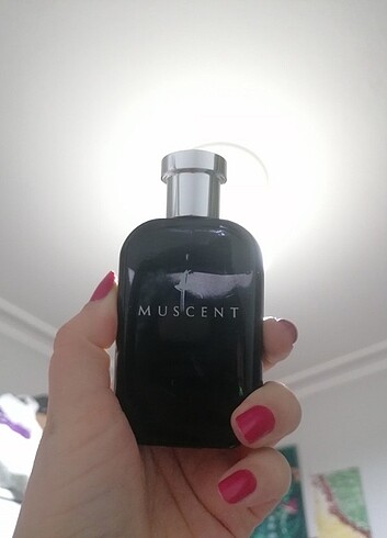 Muscent Black Vanilla