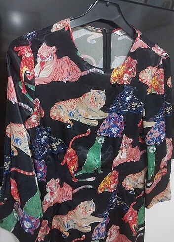 Zara Zara elbise 
