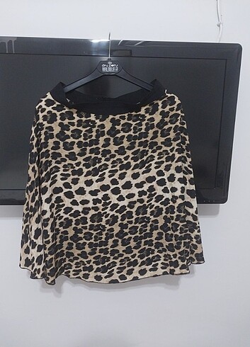 Zara basic 