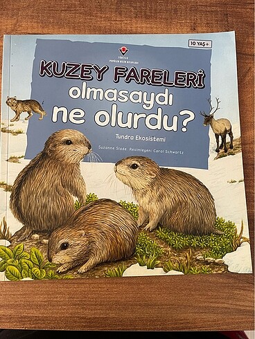 Kuzey fareleri olmasaydı ne olurdu? 10+ çocuk kitabı TÜBİTAK yay