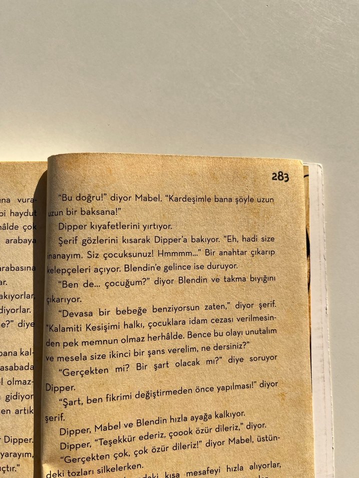 Dipper ile Mabel: Zaman Kapsülleri Hazinesi - Görsel 5