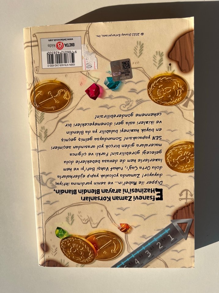 Dipper ile Mabel: Zaman Kapsülleri Hazinesi - Görsel 2