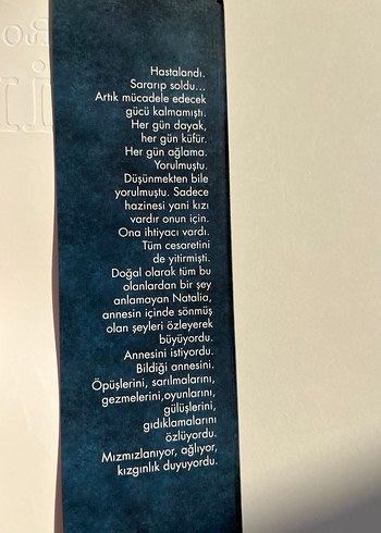 Zairi - Rena Rossi Romanı - Görsel 3