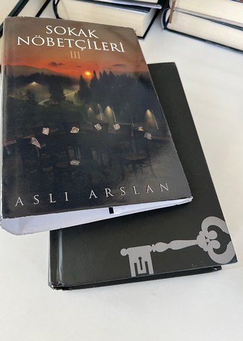 Sokak Nöbetçileri - Aslı Arslan - Görsel 12