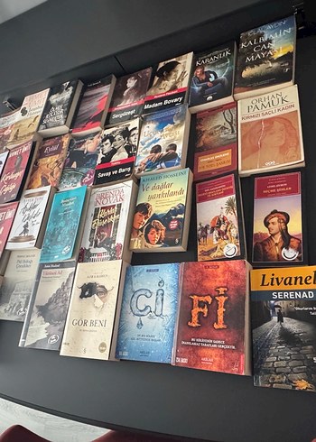 Çeşitli Roman Kitapları Koleksiyonu