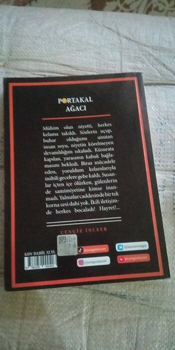  Portakal ağacı