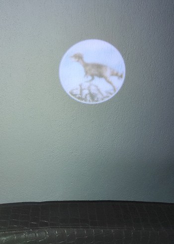 Renkli Dinozor Temalı Çocuk saat - Görsel 4