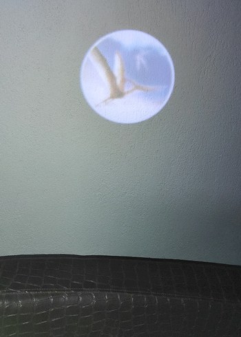 Renkli Dinozor Temalı Çocuk saat - Görsel 3