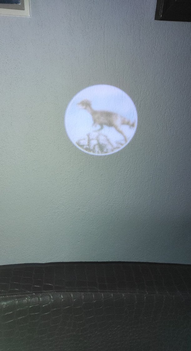 Renkli Dinozor Temalı Çocuk saat - Görsel 4