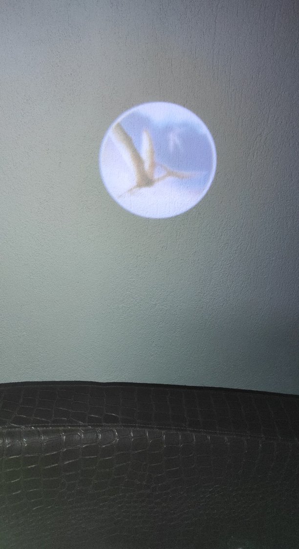 Renkli Dinozor Temalı Çocuk saat - Görsel 3