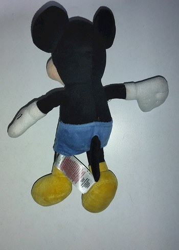 Walt Disney World Mickey mouse