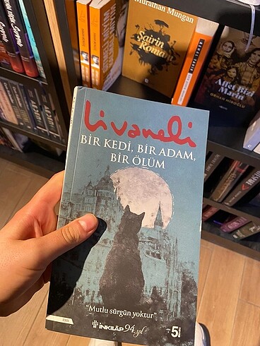 Livaneli bir kedi, bir adam, bir ölüm