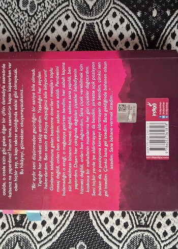 Sör - Roman Kitap - Görsel 2