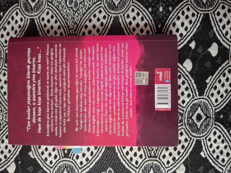 Sör - Roman Kitap - Görsel 2