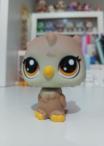 Beden LPS Baykuş Miniş