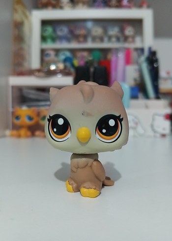 LPS Baykuş Miniş