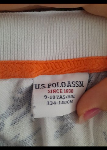 Erkek Çocuk Baskılı Polo Tişört - Görsel 3