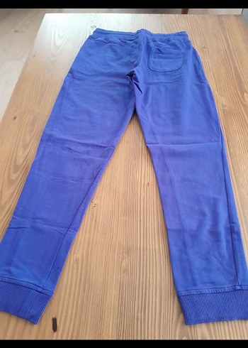 U.S Polo Assn. Mavi Erkek Jogger Eşofman Altı