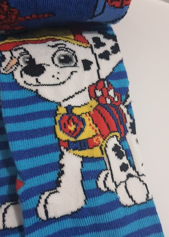 Erkek Çocuk Çok Renkli Desenli Çorap 3'lü - Görsel 5