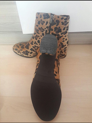 40 Beden Leopar bot