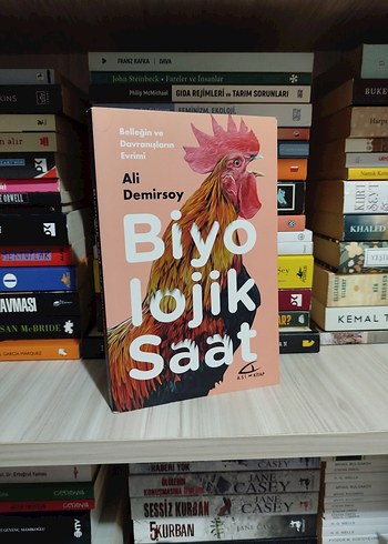 Biyo lojik Saat - Ali Demirsoy - Görsel 2
