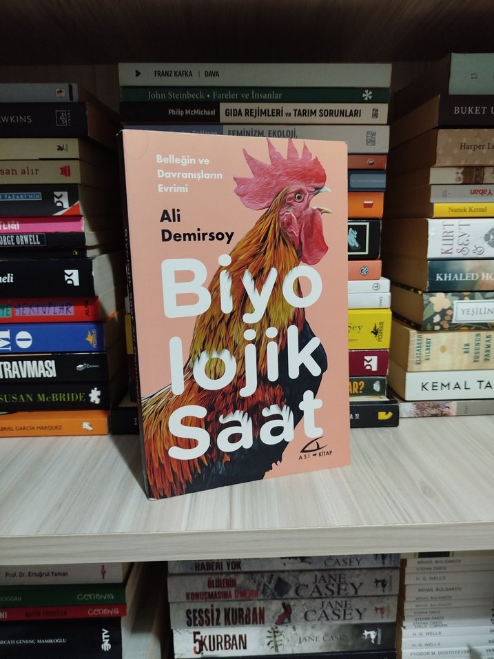 Biyo lojik Saat - Ali Demirsoy - Görsel 2