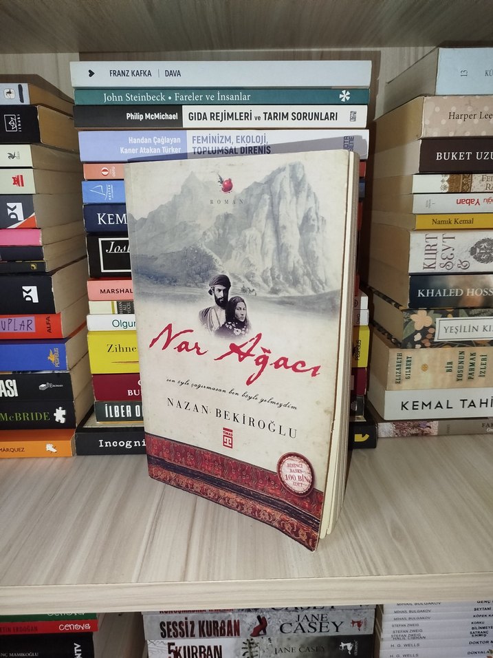 Nar Ağacı - Nazan Bekiroğlu - Görsel 2