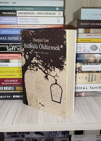 Bülbülü Öldürmek - Harper Lee - Görsel 2