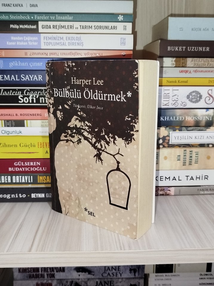 Bülbülü Öldürmek - Harper Lee - Görsel 2