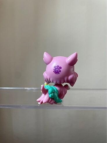  Pembe köpek miniş