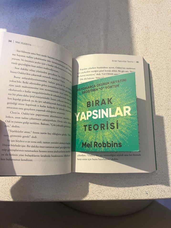 Bırak yapsınlar teorisi - Görsel 2