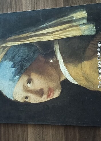 Vermeer TASCHEN YAYINLARI 