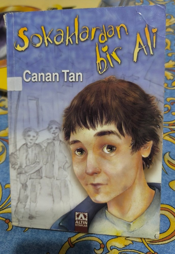 Siyah İnci - Anna Sewell 2 adet kitap - Görsel 2