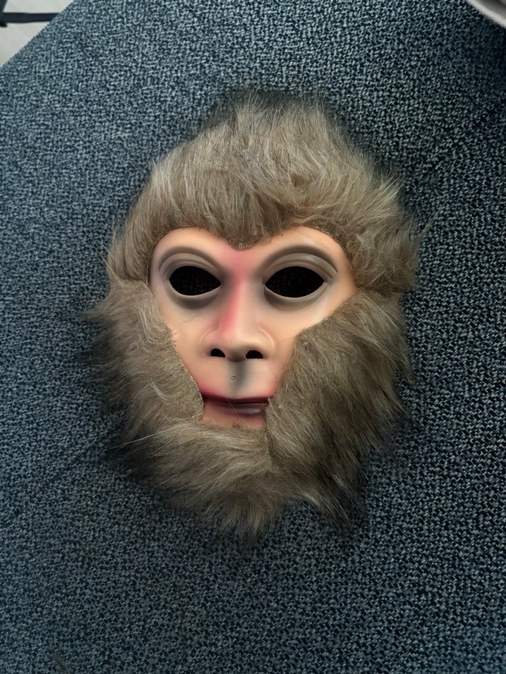 Kahverengi Tüylü Maymun Maskesi - Görsel 3