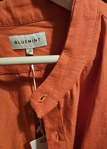 BlueMint 3xl