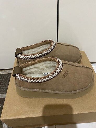 Ugg terlik