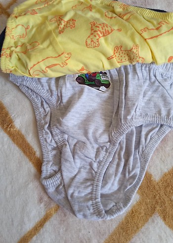 Erkek Bebek 3'lü Baskılı Külot Seti 24 Ay - Görsel 3